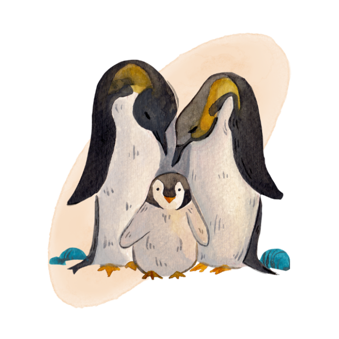 ontwikkelingssimulatie